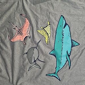 Cat & Jack Boys Short Slv Top M 8/10 Gray w/ Stingrays, Sharks NWOT